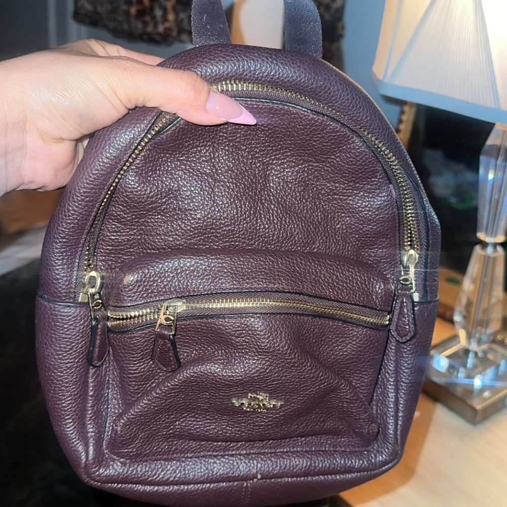 Coach Mini Leather Backpack